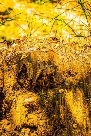 Background of soil layers, Thailand.の写真素材