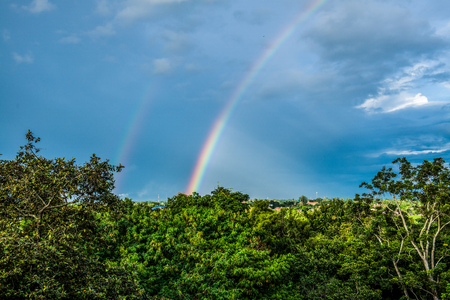 Rainbow on treetop, Thailand.の写真素材
