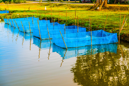 Fish cages in farm, Thailand.の写真素材