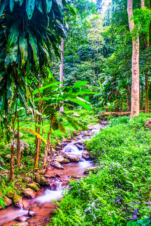 Water Flowing in Champa Thong Waterfall, Thailand.の写真素材