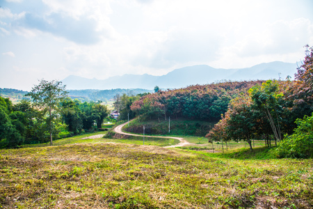 Laterite road with Thai countryside, Thailand.の写真素材