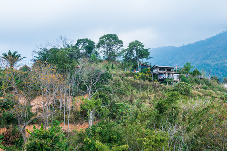 Little Home at Phulangka National Park, Thailand.の写真素材