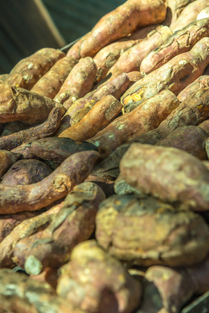 Grilled Sweet Potato, Thailand.の写真素材