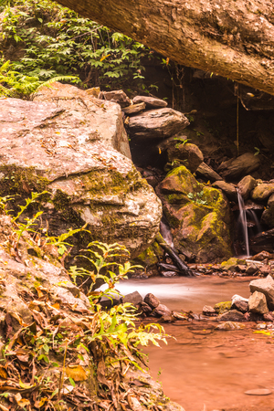 Little stream at Champa Thong waterfall, Thailand.