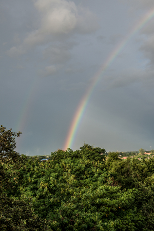 Rainbow on treetop, Thailand.の写真素材