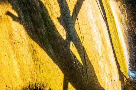 Water flowing with tree shadow on stone, Thailand.