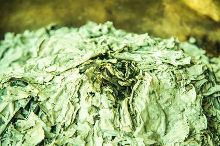 Ashes from joss paper in Chinese new year festival at Thailand.の写真素材