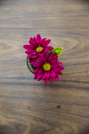Little flowers on wooden table, Thailand"の写真素材