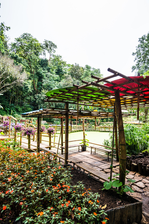 Landscape view of Mae Fah Luang garden, Thailand.の写真素材