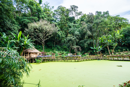 Landscape view of Mae Fah Luang garden, Thailand.のeditorial素材