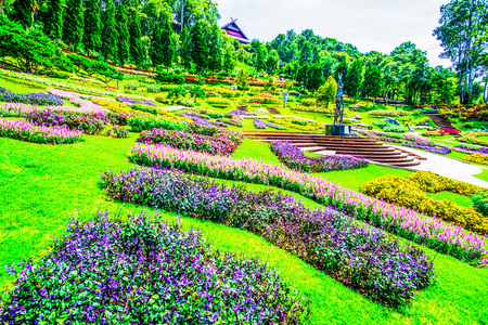 Landscape of Mae Fah Luang Garden, Thailand.の写真素材