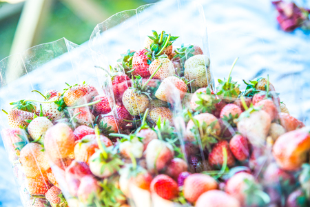 Strawberry in plastic bag, Thailand.の写真素材
