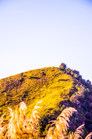 Mountain view of Doi Pha Tang at Chiangrai province, Thailand.の写真素材