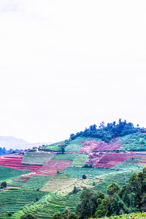 Natural view in Thai, Thailand.の写真素材
