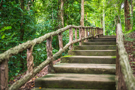 Walk way in Jedsee fountain forest park, Thailand.