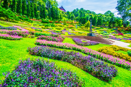Landscape of Mae Fah Luang Garden, Thailand.の写真素材