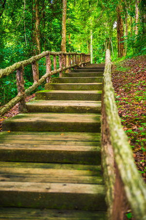 Walk way in Jedsee fountain forest park, Thailand.