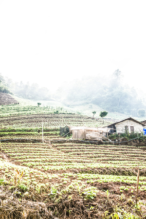 Natural view in Thai, Thailand.., Thailand.の写真素材