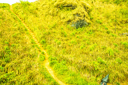 Walkway with monkey face on mountain at Phu Chi Fa, Thailand.の写真素材
