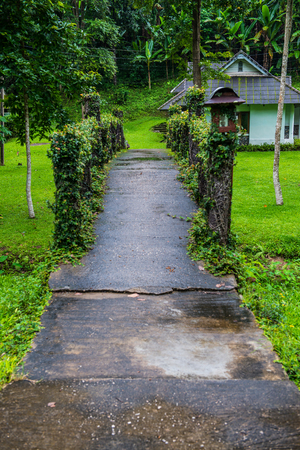 Small bridge in forest, Thailand.のeditorial素材