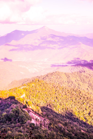 Mountain view of Doi Pha Tang at Chiangrai province, Thailand.の写真素材