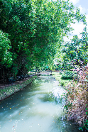 Park in Cherntawan International Meditation Center, Thailand.のeditorial素材