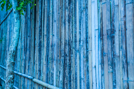 Bamboo fence background, Thailand.の写真素材
