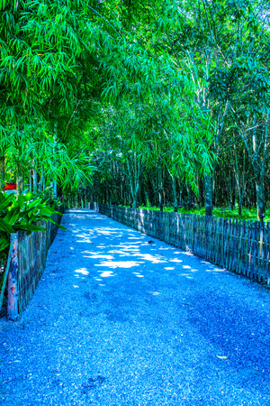 Comfortable Walkway in Cherntawan International Meditation Center, Thailand.の写真素材
