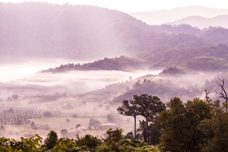 Beautiful Mountain View of Phu Langka National Park, Thailand.の写真素材