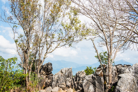 View Point at Doi Pha Tang in Chiangrai Province, Thailand.の写真素材