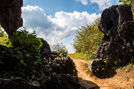 View Point at Doi Pha Tang in Chiangrai Province, Thailand.の写真素材