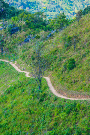 Mountain View at Doi Pha Tang in Chiangrai Province, Thailand.の写真素材