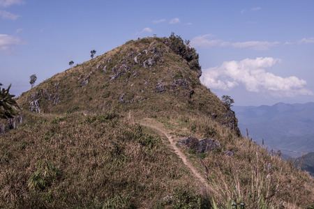 Mountain View at Doi Pha Tang in Chiangrai Province, Thailand.の写真素材