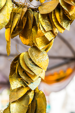 Golden leaf for donation, Thailand.の写真素材