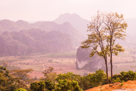 Beautiful View of Phu Langka National Park, Thailand.の写真素材
