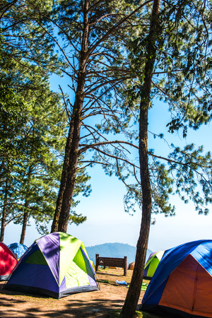 Camping yard on mountain, Thailand.の写真素材