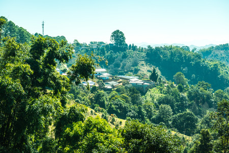 View point on mountain in Chiangmai province, Thailand.