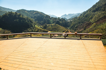 Landscape View at Tea Plantation 2000, Thailand.の写真素材
