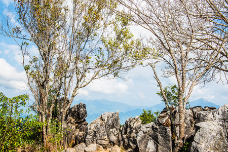 View Point at Doi Pha Tang in Chiangrai Province, Thailand.の写真素材