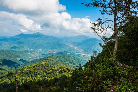 Mountain View at Doi Pha Tang in Chiangrai Province, Thailand.の写真素材