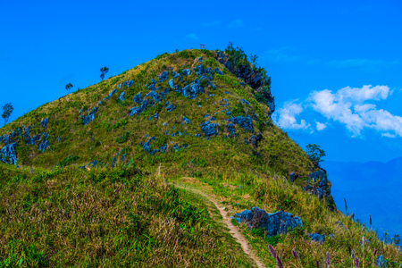 Mountain View at Doi Pha Tang in Chiangrai Province, Thailand.の写真素材