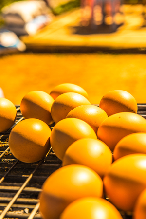 Thai style grilled eggs, Thailand.の写真素材