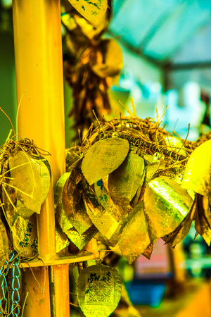 Golden leaf for donation, Thailand.の写真素材