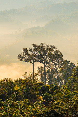 Beautiful Mountain View of Phu Langka National Park, Thailand.の写真素材