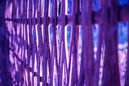 Bamboo background with sunlight in evening time, Thailand.の写真素材