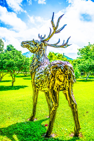 Park in Cherntawan International Meditation Center, Thailand.の写真素材