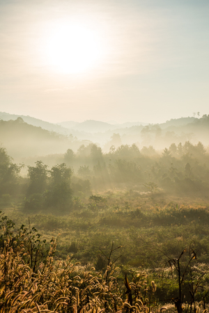 Beautiful Mountain View of Phu Langka National Park, Thailand.の写真素材