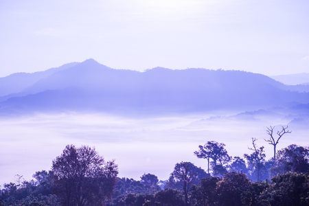 Beautiful Mountain View of Phu Langka National Park, Thailand.の写真素材