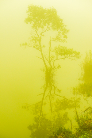 Lake view with fog in Thai, Thailand.の写真素材