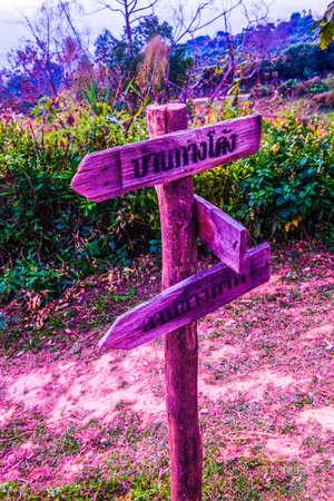 Directional Sign of Phu Langka National Park, Thailand.の写真素材